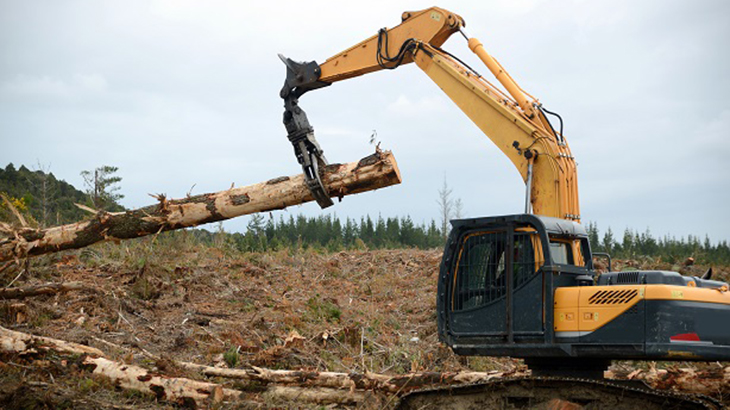 Machinery picks up a felled tree