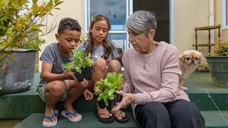 Seedling between child's hands