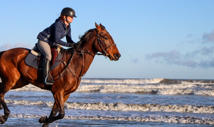 Lenka rides her horse on the beach in the morning light