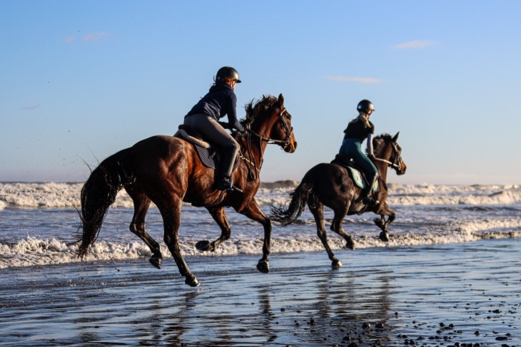 Lenka and Paris Fields ride their horses in the morning sunrise on the beach