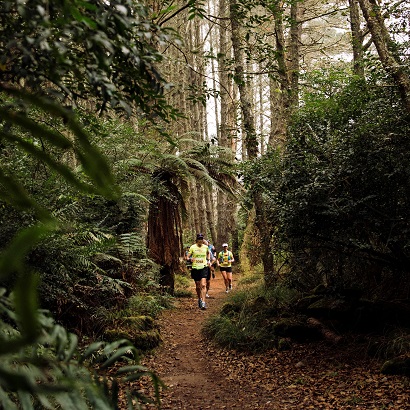 Runners in bush, photo credit to Alisha Lovrich