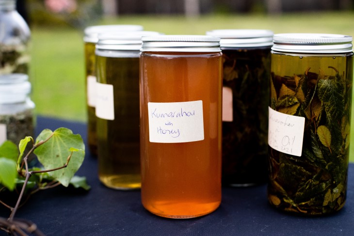 A close-up photo of some herbal remedies that are used in rongoā Māori.