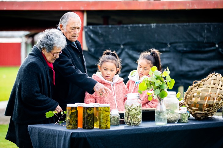 Maori tupuna shows tamariki rongoa Maori healing methods