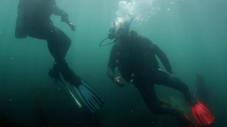 Todd and Rob dive underwater