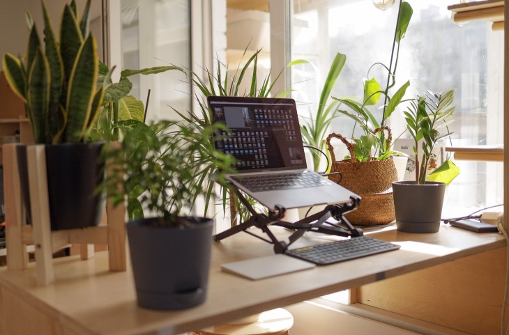 Laptop sits on stand among houseplants