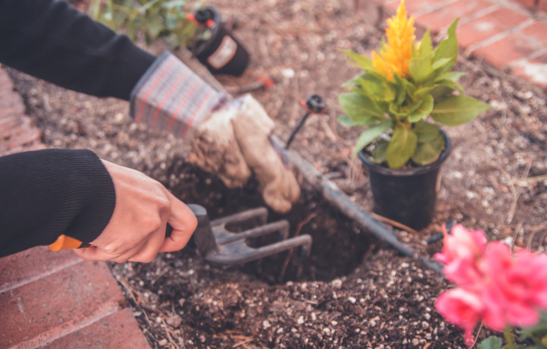 A person digs a hole in the dirt for a plant.