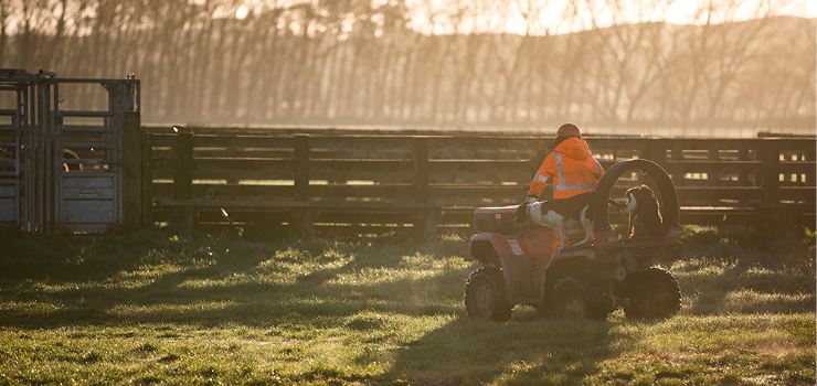 Farmer rides a quad bike in high-vis