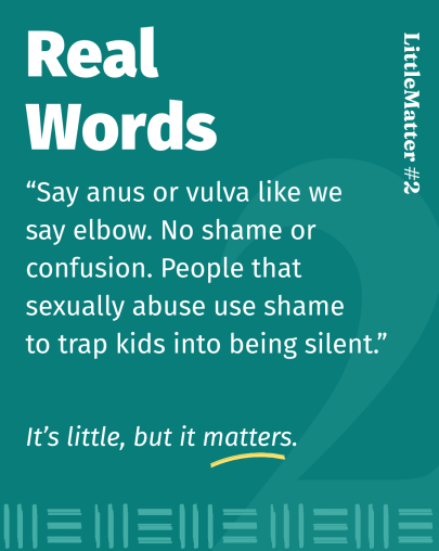 Image showing text: Little Matter #02: Real Words    Say anus or vulva like we say elbow. No shame or confusion, people who sexually abuse use shame to trap kids into being silent.