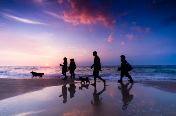 Family walking on the beach during sunset