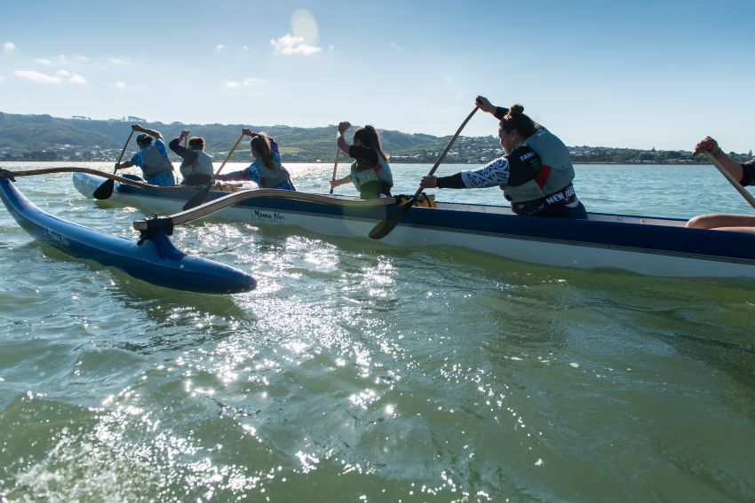 Group paddling in waka