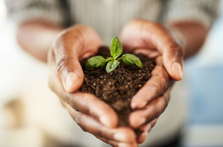 hands holding plant and soil in heart shape