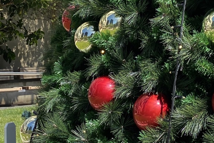 Close up of red baubles and Christmas tree branches