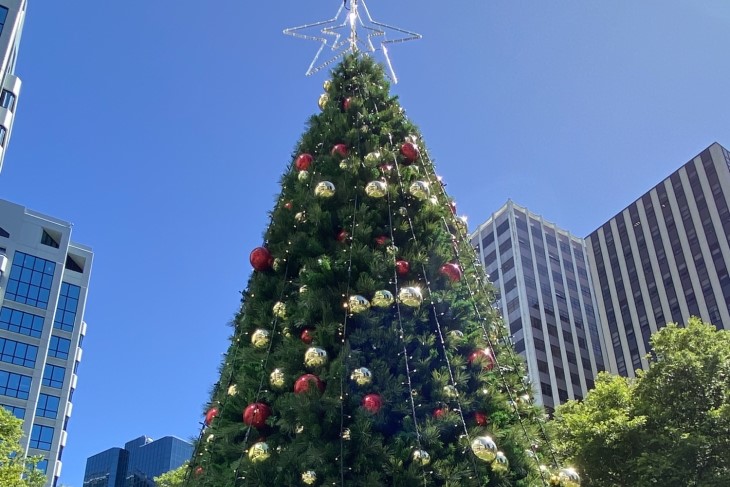 Wide shot looking up towards the top of a large Christmas tree with the blue sky behind it.