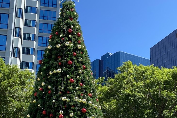 Wide shot of the Christmas tree in Midand Park, Wellington