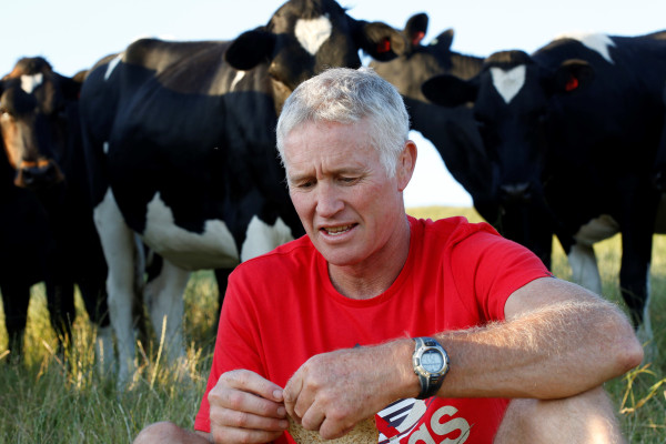 Marc with his cows