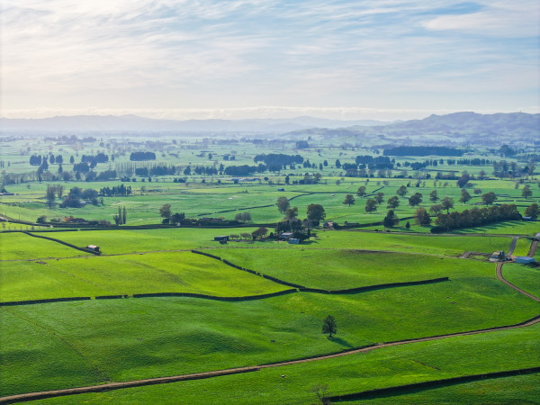 Wide shot of farm landscape