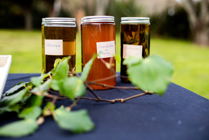 Rongoā Māori oils in jars on a table