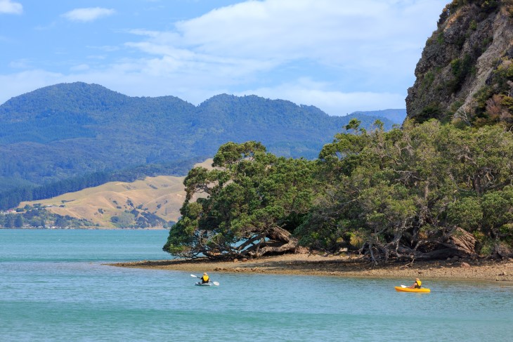 A pair of kayakers out on the water. 