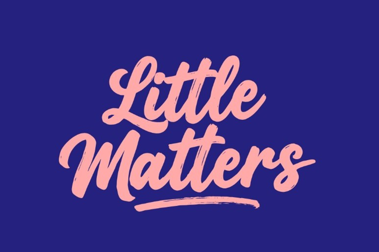 An image showing the Little Matters logo in pink on a dark blue background.