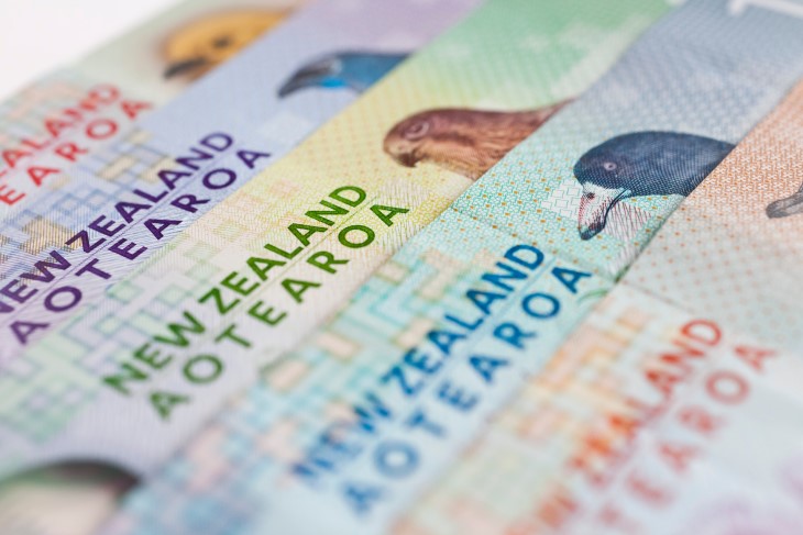 money 1 New Zealand dollar notes