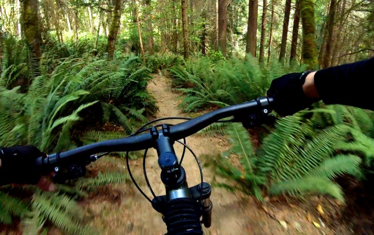 A photo taken from a mountain bike rider's point of view, looking over the handlebars and down a trail in the bush. 