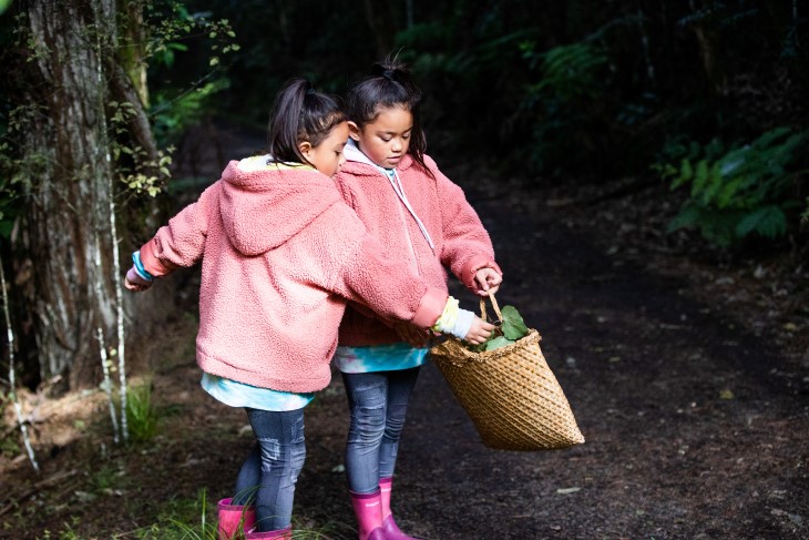 Two young Māori girls gathering leaves in the forest. 
