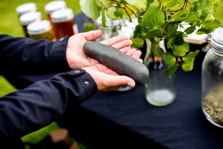 A stone used in rongoā Māori healing being held by a pair of hands above a table displaying herbal remedies.